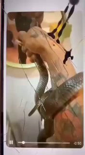 Смертельное селфи с коброй в Таиланде